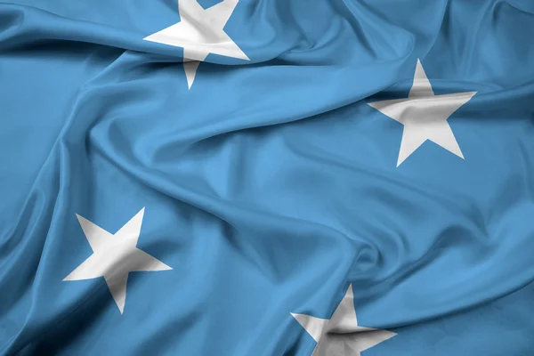 Ondeando la bandera de Micronesia — Foto de Stock