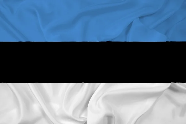 Размахивая флагом Эстонии — стоковое фото