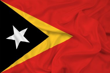Doğu timor bayrağı sallayarak