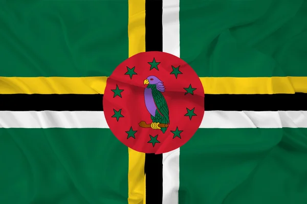 Wapperende vlag van dominica — Stockfoto