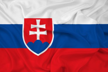 Slovakya bayrağı sallayarak