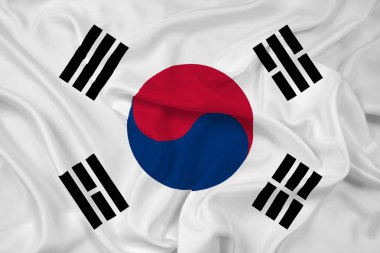 Güney Kore bayrağı sallayarak