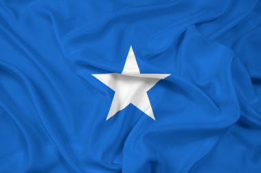 Somali bayrağı sallıyor