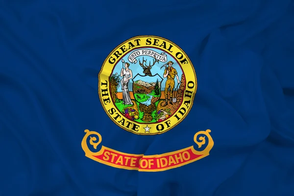 Agitant le drapeau de l'État de l'Idaho — Photo