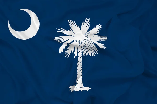 Waving South Carolina State Flag — Stock Photo, Image