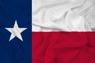 Texas devlet bayrağı sallayarak
