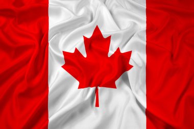 Kanada bayrağı sallayarak