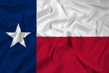 Texas devlet bayrağı sallayarak