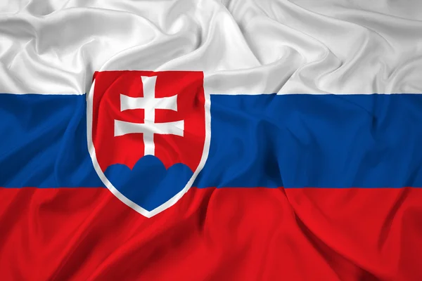 슬로바키아 공화국의 깃발을 흔들며 — 스톡 사진