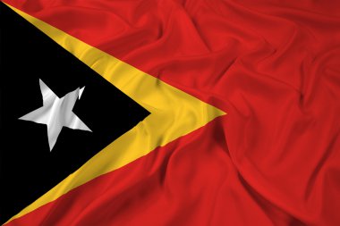 Doğu timor bayrağı sallayarak