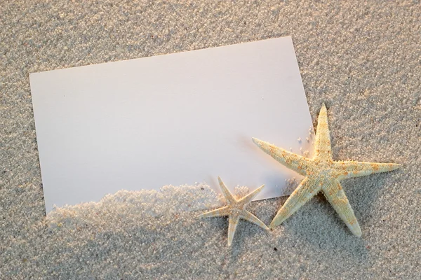 Empty white card with starfish is lying on a sea sand summer sunny background — Stock Photo, Image