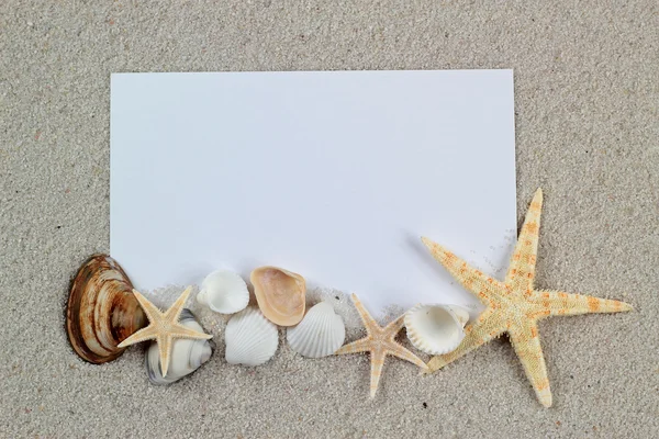 Empty white card with starfishes and shells is lying on a sea sand summer sunny background, vacation postcard — Stock Photo, Image