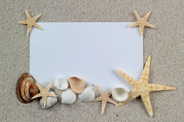 Empty white card with starfishes and shells is lying on a sea sand summer sunny background, vacation postcard — Stock Photo, Image