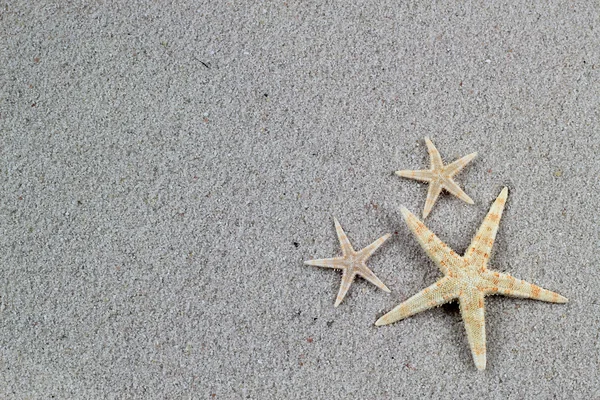 Starfishes on sand background, vacation postcard — Stock Photo, Image