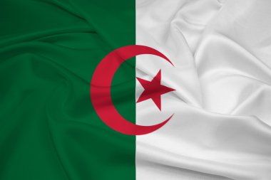 Cezayir bayrağı sallayarak