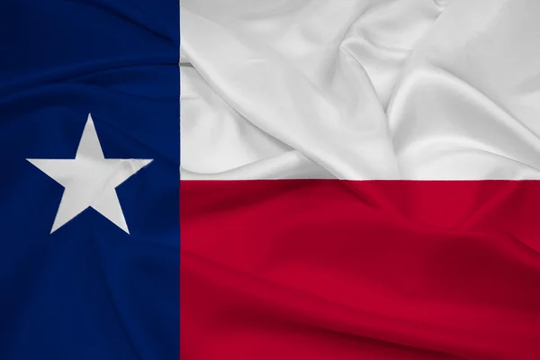 挥舞着德克萨斯州州旗 — 图库照片