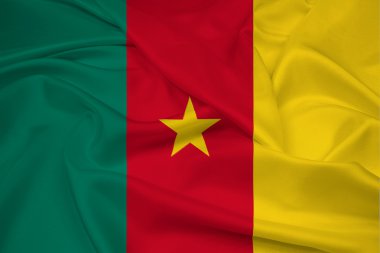 Kamerun bayrağı sallayarak