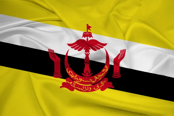 Brunei bayrağı sallayarak — Stok fotoğraf