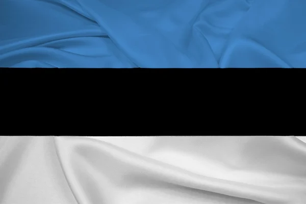 Waving Estonia Flag — Stock Photo, Image
