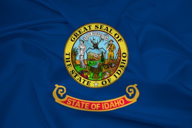 wapperende vlag van idaho