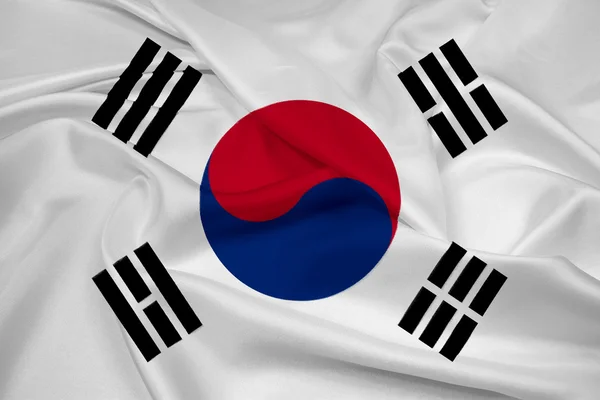 Waving South Korea Flag — Stock Photo, Image