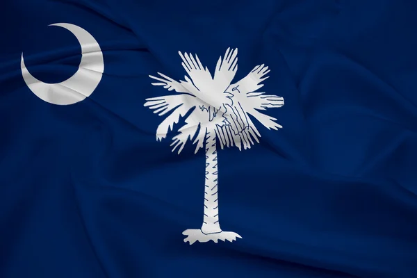 挥舞着南卡罗莱纳州州旗 — 图库照片