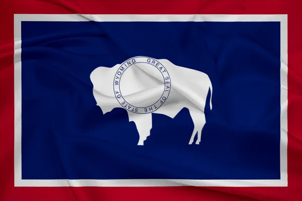 Agitant le drapeau de l'État du Wyoming — Photo