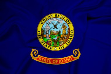 wapperende vlag van idaho