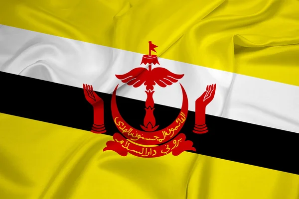 Brunei bayrağı sallayarak — Stok fotoğraf