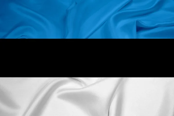 Estland-Flagge schwenken — Stockfoto