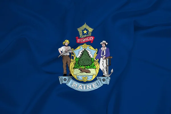 Waving Maine State Flag — Stock Photo, Image