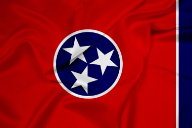 Tennessee Devlet bayrağı sallayarak