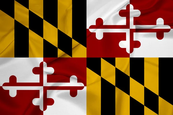 Maryland State Flagge schwenkend — Stockfoto