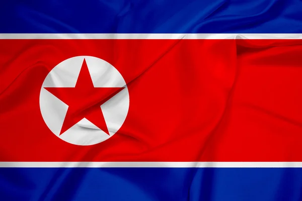 挥舞着朝鲜国旗 — 图库照片