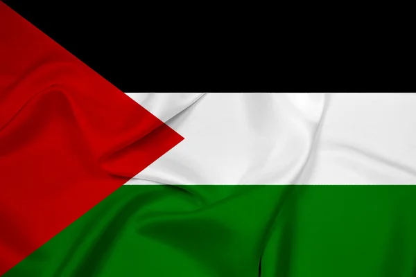 Waving Palestine Flag — Stock Photo, Image