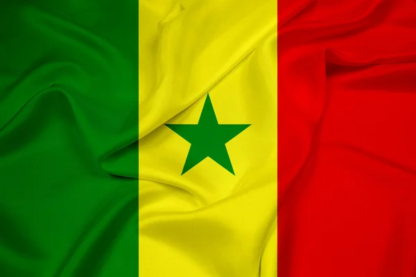 Senegalesische Flagge schwenken — Stockfoto