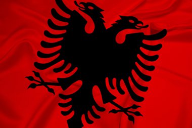 Arnavutluk bayrağı sallayarak