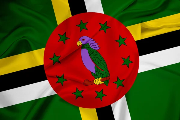 Wapperende vlag van dominica — Stockfoto