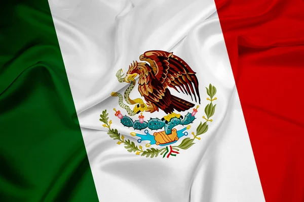 挥舞着墨西哥国旗 — 图库照片