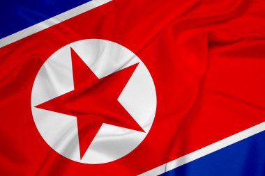 Kuzey Kore bayrağı sallayarak