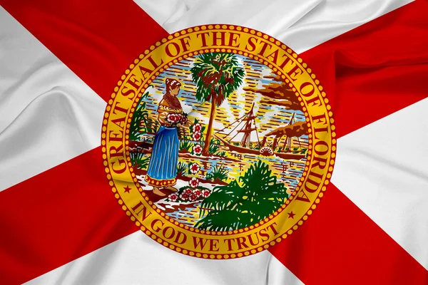 Wapperende vlag van florida — Stockfoto