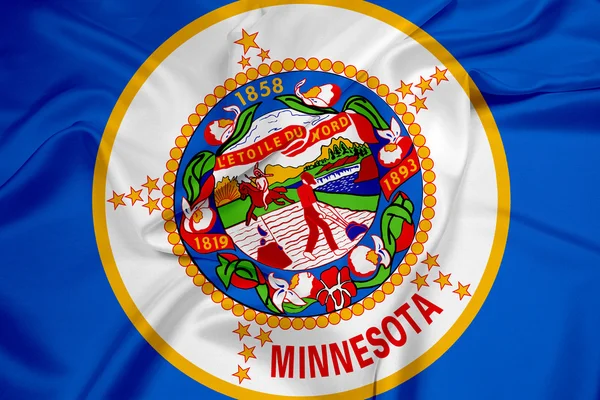 Brandissant le drapeau de l'État du Minnesota — Photo
