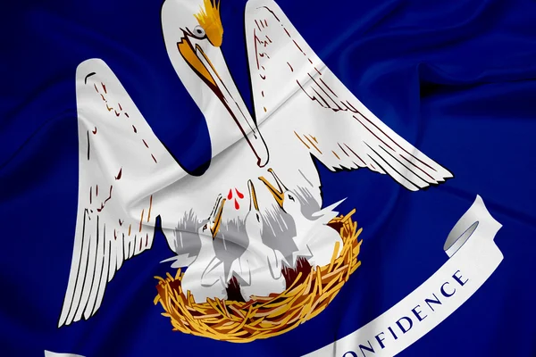 Waving Louisiana State Flag — Stock Photo, Image