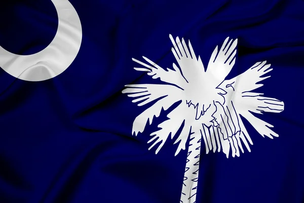 Schwenkt die Staatsflagge des Bundesstaates South Carolina — Stockfoto