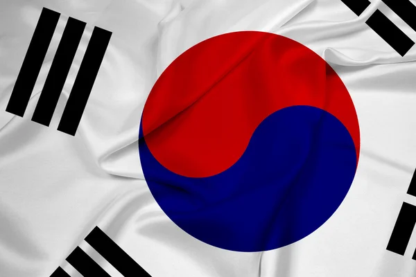 Südkoreanische Flagge schwenken — Stockfoto