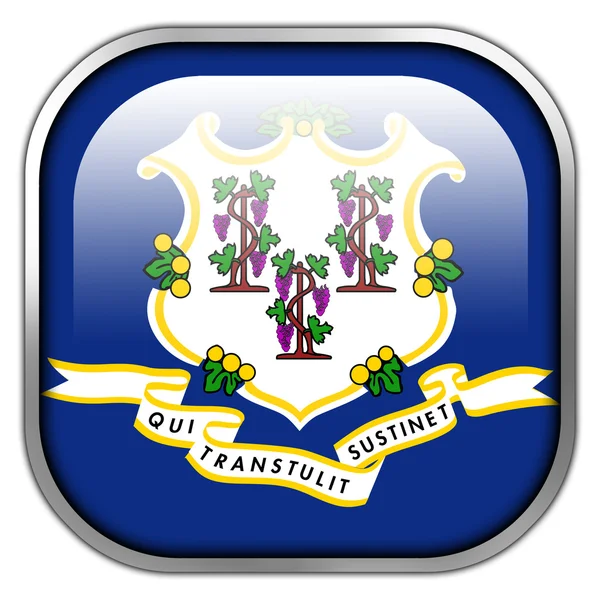 Connecticut State Flag square glossy button — Stock Photo, Image