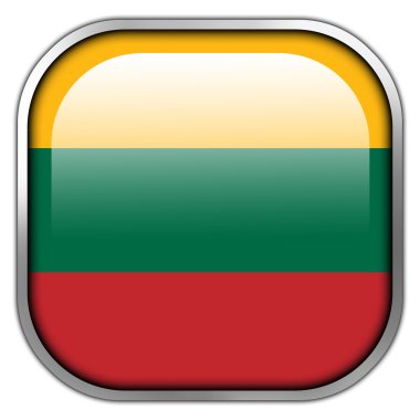 parlak düğme Litvanya bayrağı Meydanı