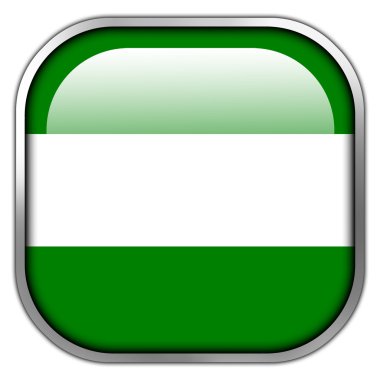 parlak düğme Rotterdam şehir bayrağı Meydanı