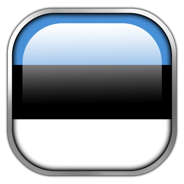 Estonia Flag square glossy button — Stock Photo, Image