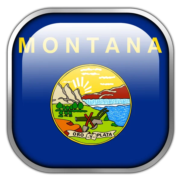 Montana State Flag square glossy button — Stock Photo, Image